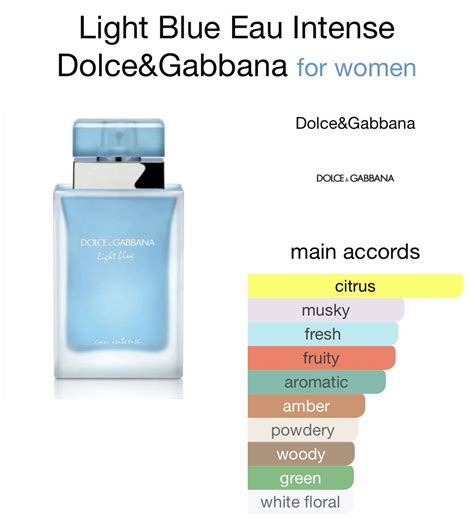 The Ultimate Guide To Every Dolce & Gabbana Light Blue Perfume.